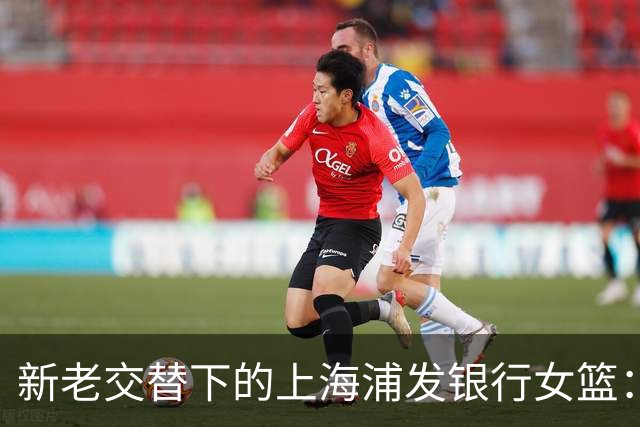 新老交替下的上海浦发银行女篮：挑战与机遇并存